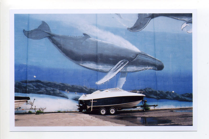 Whale Boat Ride © 2010 Bobby Asato