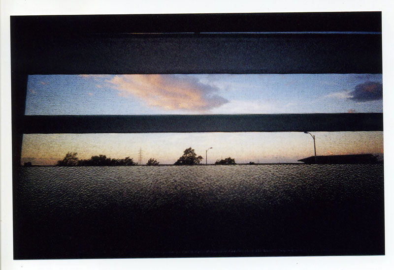 Unaware load shot early morning. © 2010 Bobby Asato