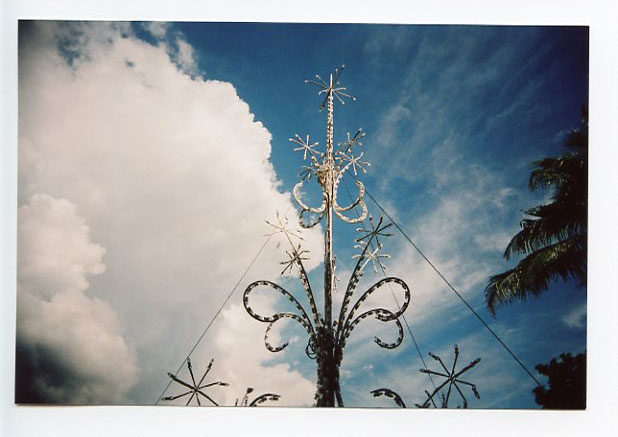 Xmas Tree Kapolei Hale, Slim Black Devil. © 2010 Bobby Asato