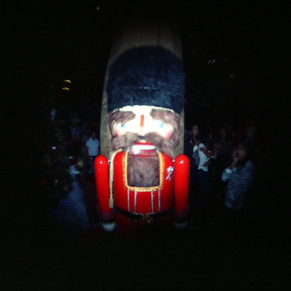 Bearded Nutcracker. WOCA 120 GF + fisheye lens. © 2010 Bobby Asato