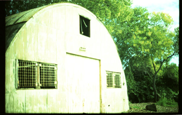Urban Garden Center, Pearl City - Canon A-1. © 2011 Bobby Asato