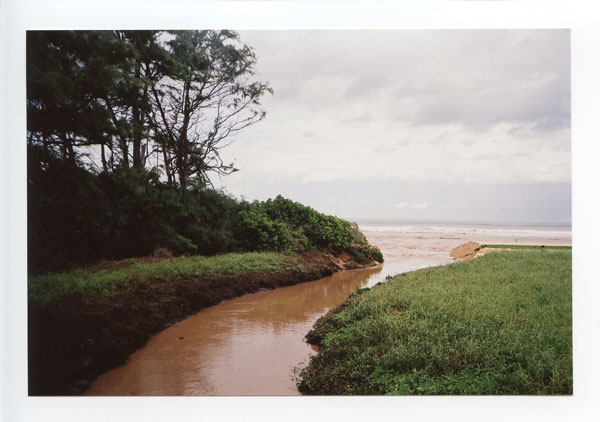 Mokuleia shark soup.  Yashica ME-1. © 2011 Bobby Asato