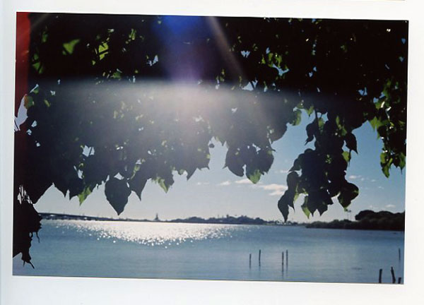 Aiea Bay State Park, Hawaii - Canonet QL17. © 2011 Bobby Asato