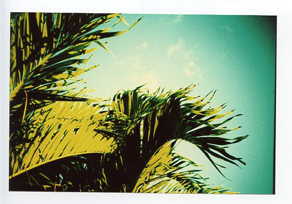 Pearl City, Hawaii - Lomo LC-A+. © 2011 Bobby Asato