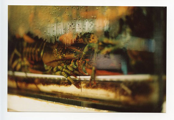Maunakea Market, Hawaii - Canon A-1. © 2011 Bobby Asato
