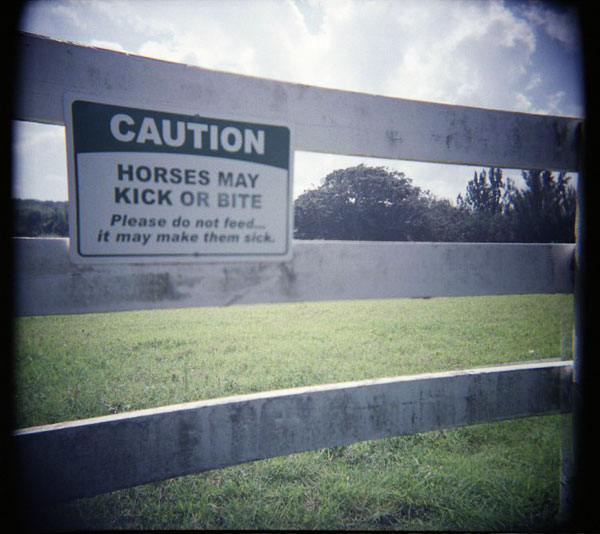 Laniakea, North Shore, Oahu.  WOCA GF 120. © 2011 Bobby Asato