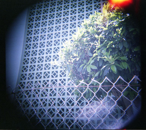 Kalhi.  WOCA GF 120. © 2011 Bobby Asato