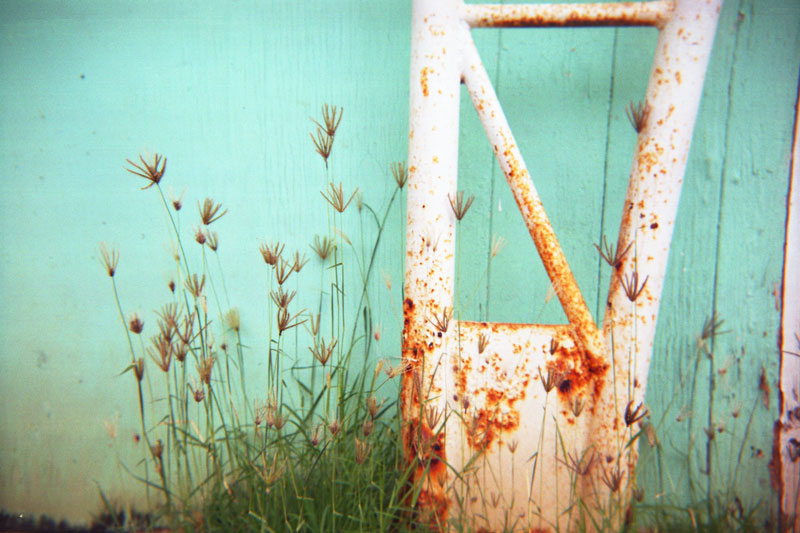 Ala Wai Boat Club, Hawaii. Kodak Brownie Bullseye. © 2011 Bobby Asato