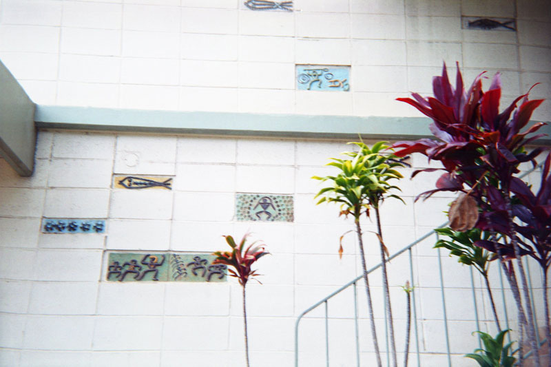 Laau Gardens, Hawaii. Kodak Brownie Bullseye. © 2011 Bobby Asato