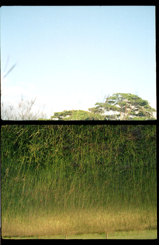 Pearl City, Hawaii. Agfa Parat Half Frame. © 2011 Bobby Asato