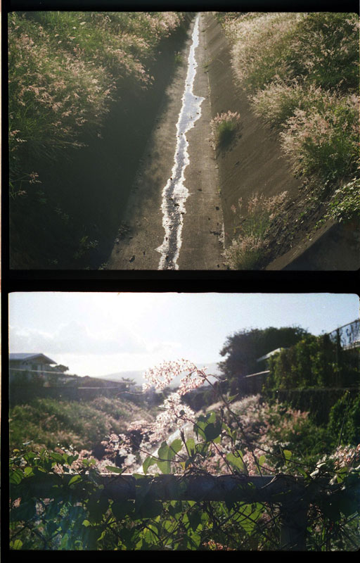 Pearl City, Hawaii. Agfa Parat Half Frame. © 2011 Bobby Asato