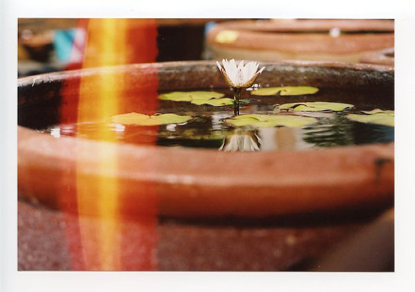 Salt Lake, Hawaii. Minolta X-370 © 2011 Bobby Asato