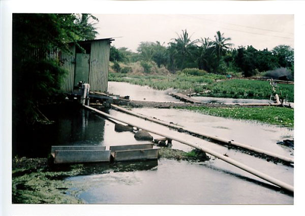 Lehua Bike Path, Pearl City, Hawaii.  Yashica Minimatic EL © 2011 Bobby Asato