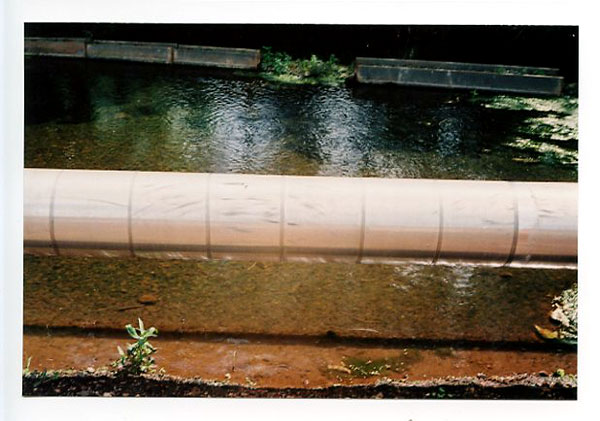 Lehua Bike Path, Pearl City, Hawaii.  Yashica Minimatic EL © 2011 Bobby Asato