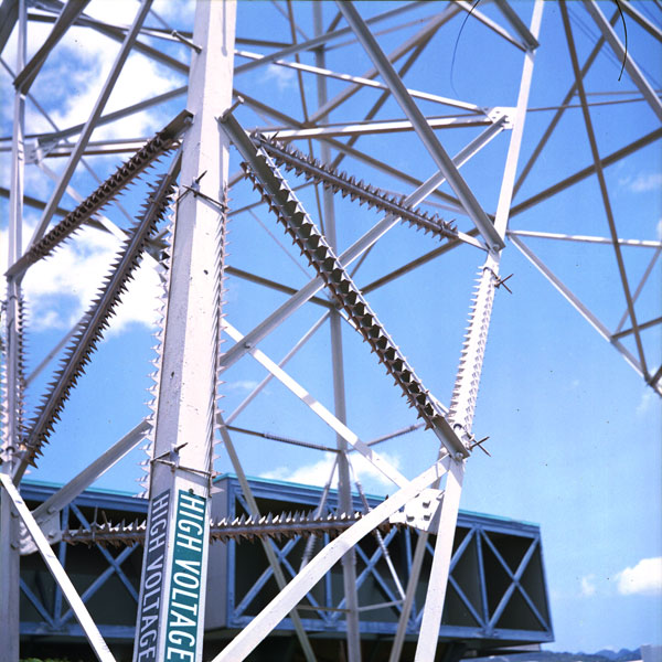 Aiea, Hawaii. Lomo Lubitel 166+. © 2011 Bobby Asato