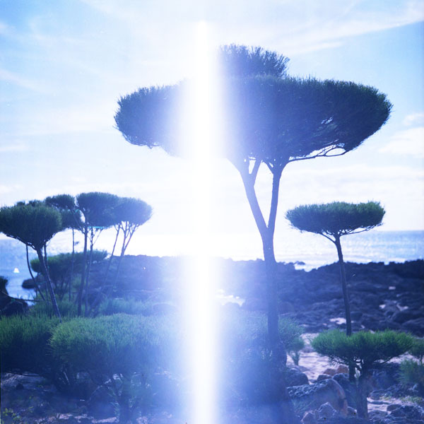 Sharks Cove, North Shore, Hawaii. Lomo Lubitel 166+. © 2011 Bobby Asato