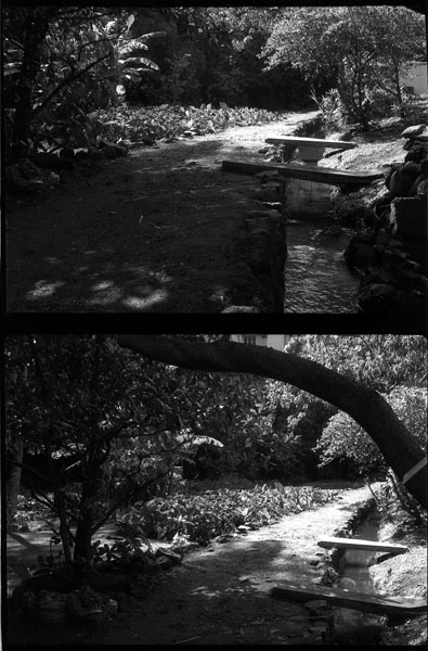 Ka Papa Loi 'o Kanewai, U.H. Manoa, Hawaii. Lomo Lubitel 166+. © 2011 Bobby Asato