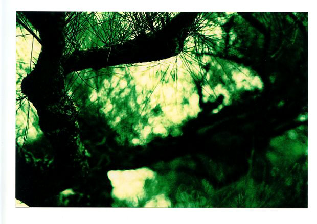 Tenri Cultural Center, Nuuanu, Hawaii. Canon A-1. © 2011 Bobby Asato