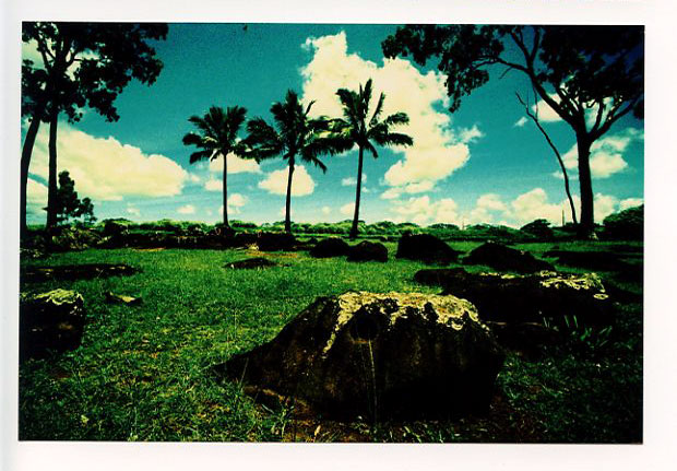 Kukaniloko, Wahiawa, Hawaii. Canon A-1. © 2011 Bobby Asato
