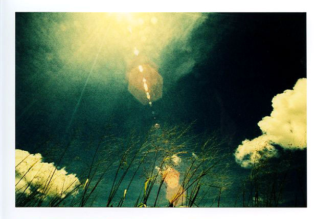 Kukaniloko, Wahiawa, Hawaii. Canon A-1. © 2011 Bobby Asato