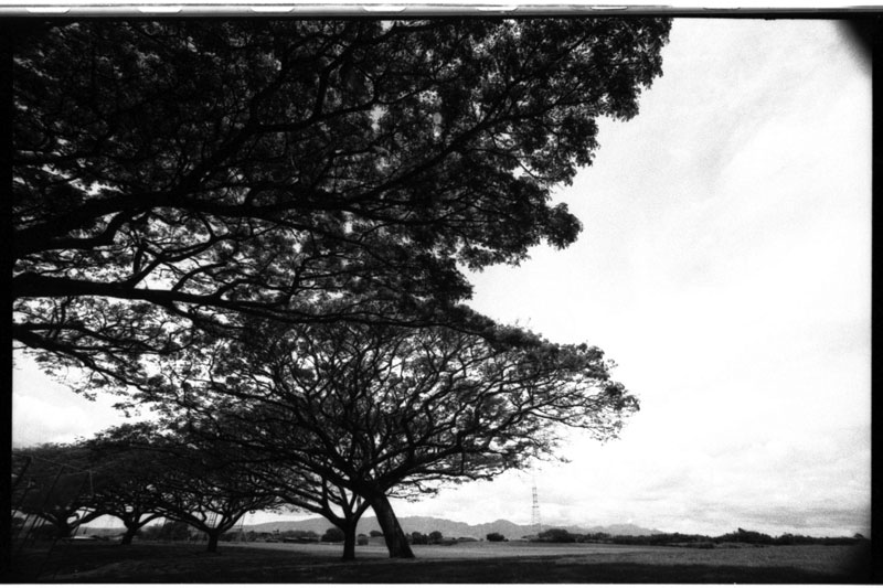 Hawaii. Canon A-1. © 2011 Bobby Asato