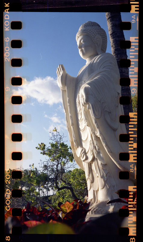 Hilton Waikaloa, Kona, Hawaii. Lomo Lubitel 166+ w/Lubikin. © 2011 Bobby Asato