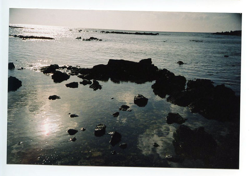 Hilton Waikaloa Hotel, Kona, Hawaii. Lomo Lubitel 166+ w/Lubikin. © 2011 Bobby Asato