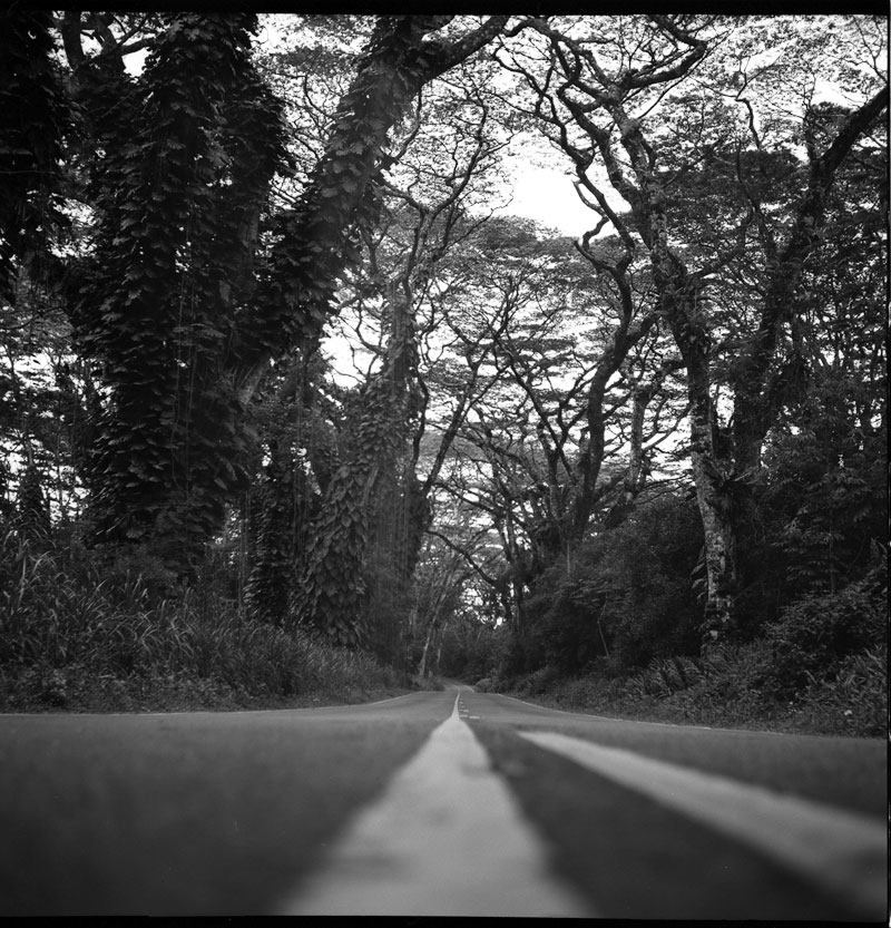 Pahoa, Big Island, Hawaii. Lomo Lubitel 166+. © 2011 Bobby Asato