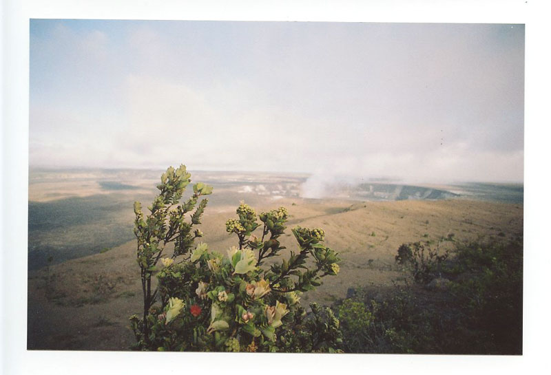 Volcano, Big Island, Hawaii. Canon A-1. © 2011 Bobby Asato