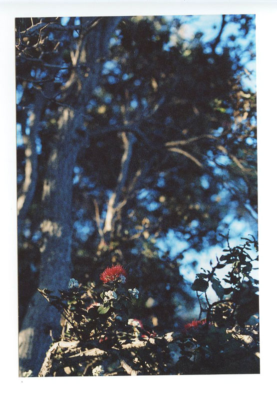 Volcano, Big Island, Hawaii. Canon A-1. © 2011 Bobby Asato