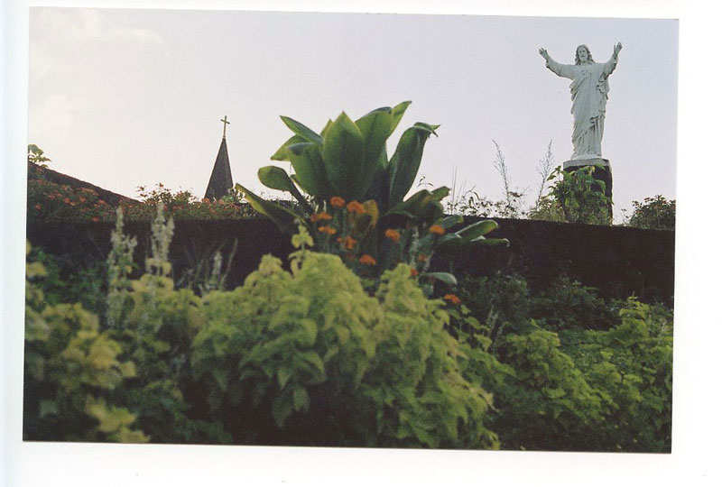 Pahoa, Big Island, Hawaii. Canon A-1. © 2011 Bobby Asato