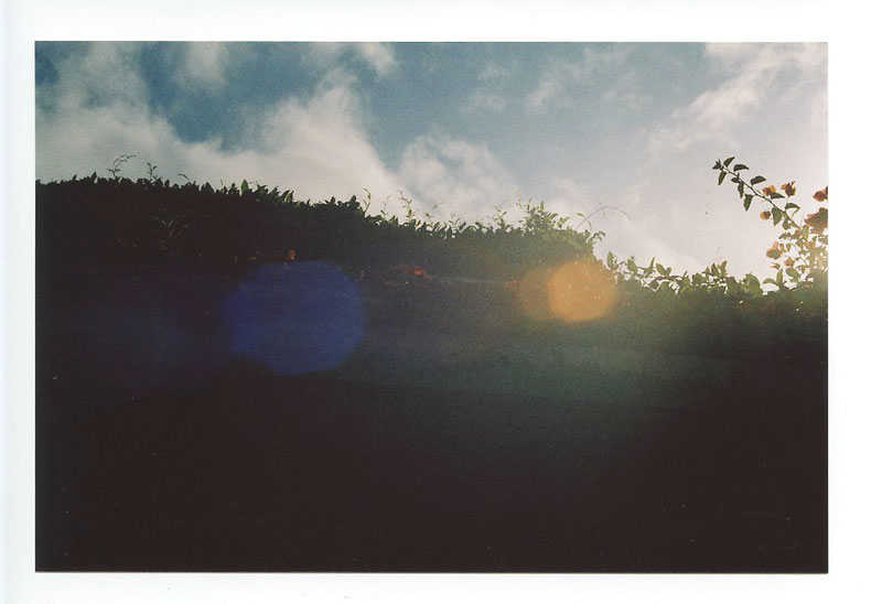 Pahoa, Big Island, Hawaii. Canon A-1. © 2011 Bobby Asato