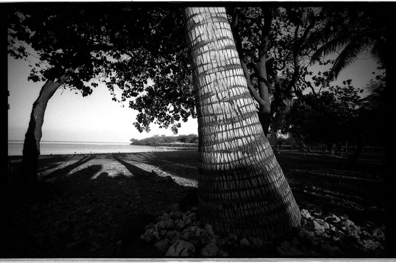 Big Island, Hawaii. Canon A-1. © 2011 Bobby Asato