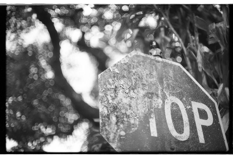 Tantalus Round Top Drive, Honolulu, Hawaii. Canon A-1. © 2011 Bobby Asato