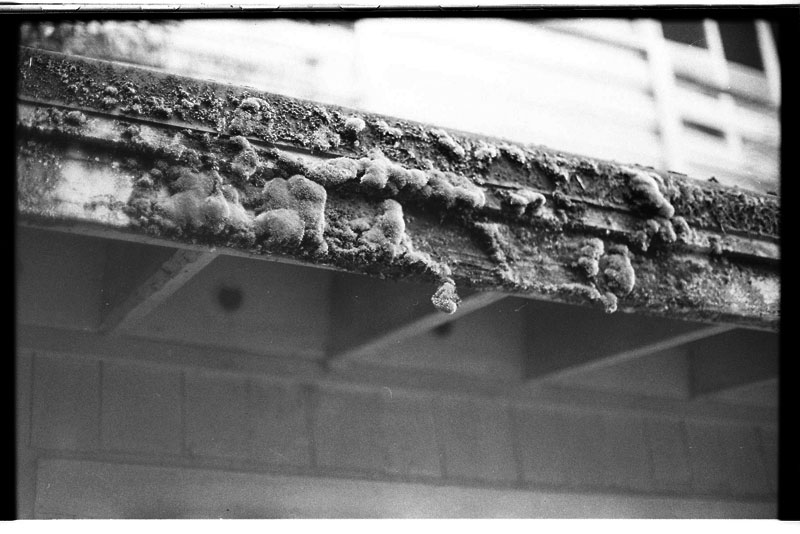 Tantalus Round Top Drive, Honolulu, Hawaii. Canon A-1. © 2011 Bobby Asato