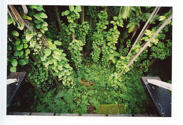 Wailuku Canyon River Bridge, Hilo, Big Island, Hawaii. Canon A-1. © 2011 Bobby Asato