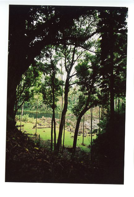 Wailuku Canyon River, Hilo, Big Island, Hawaii. Canon A-1. © 2011 Bobby Asato
