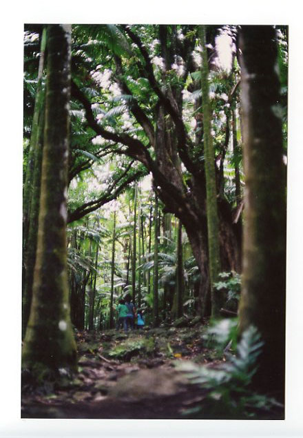 Onomea Bay, Hilo, Big Island, Hawaii. Canon A-1. © 2011 Bobby Asato