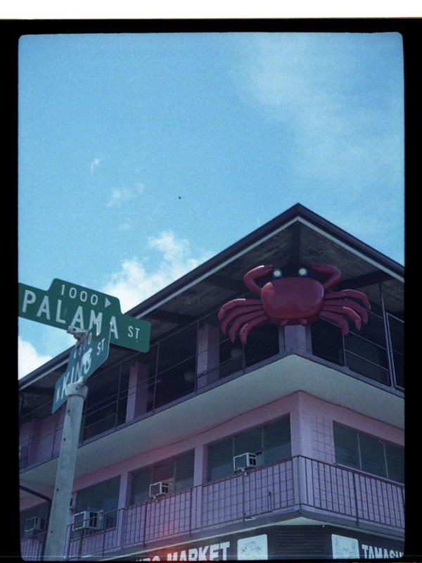 Tamashiro Market, Kalihi, Hawaii. Yashica Half 17 Half-frame Camera. © 2011 Bobby Asato