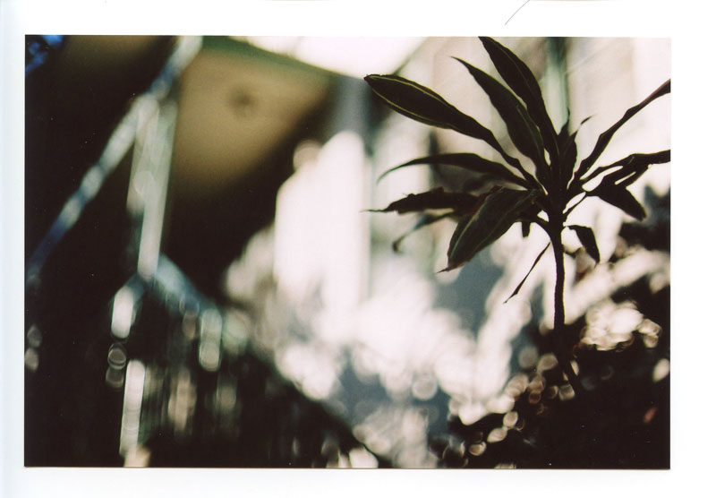 Waikiki, Hawaii. Canon A-1. © 2011 Bobby Asato