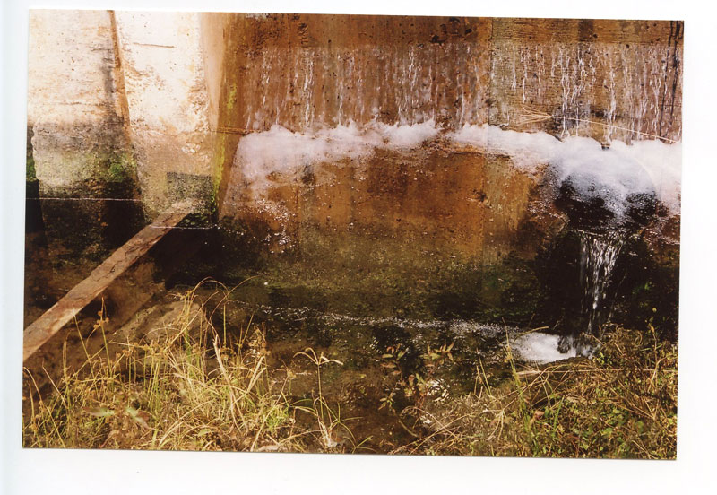 Lehua Bike Path, Pearl City, Hawaii. Konica II Rangefinder. © 2011 Bobby Asato