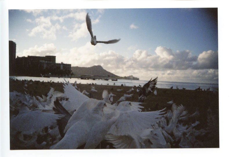 Hilton Lagoon, Hawaii. Lomo LC-A+. © 2011 Bobby Asato