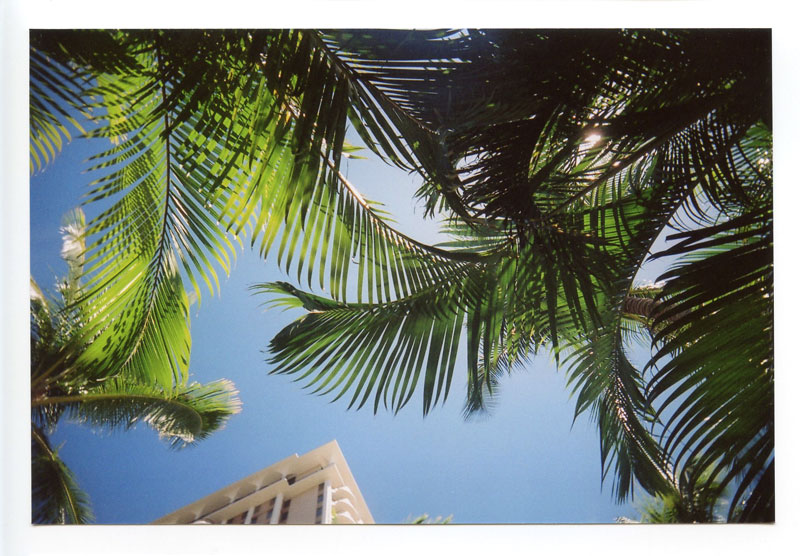 Hilton Lagoon, Waikiki, Hawaii. Superheadz Black Slim Devil. © 2011 Bobby Asato