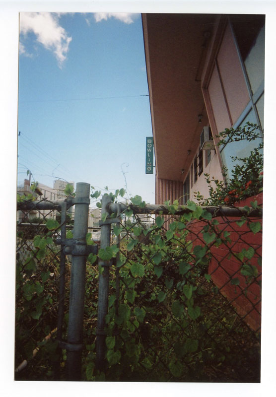 Bowl-a-drome, Honolulu, Hawaii. Superheadz Black Slim Devil. © 2011 Bobby Asato