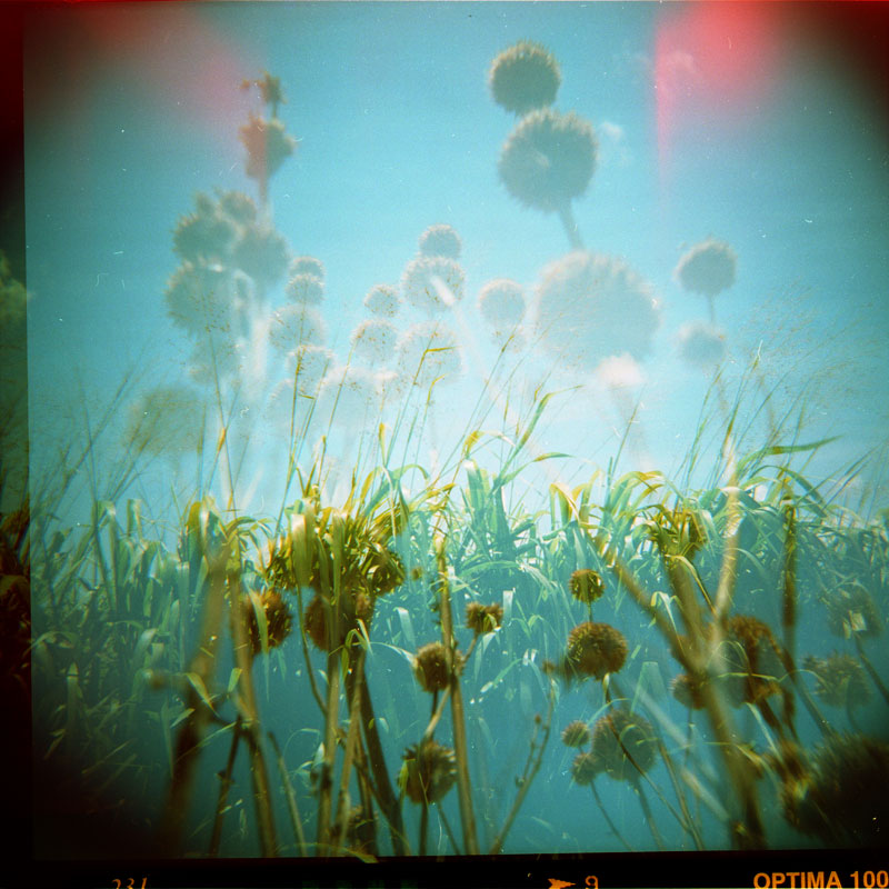 Hawaii. WOCA 120 GFN x Holga FN. © 2011 Bobby Asato & Ryan Amor.