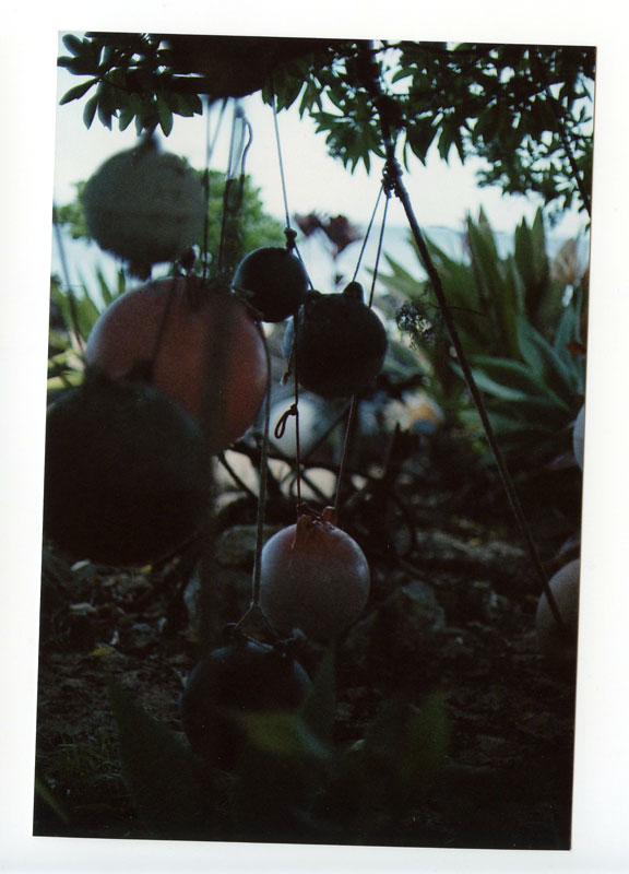 Waimea Bay, North Shore, Hawaii. Canon A-1. © 2011 Bobby Asato.