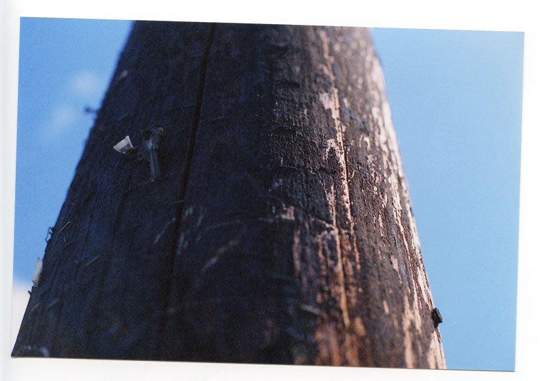 Laniakea, North Shore, Hawaii. Canon A-1. © 2011 Bobby Asato.