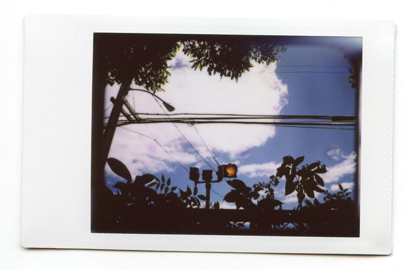 Wahiawa Botanical Gardens, Hawaii. Lomo LC-A+ + Instant Back. © 2011 Bobby Asato.