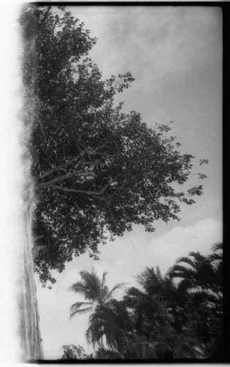 Shark's Cove, North Shore, Hawaii. Canon F-1 original. © 2011 Bobby Asato, Hawaii. Canon F-1 original. © 2011 Bobby Asato