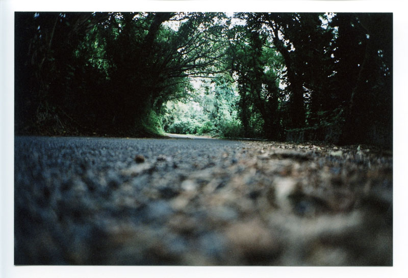 Pali, Nu'uanu, Hawaii. Canon F-1 original. © 2011 Bobby Asato, Hawaii. Lomo LC-A+ Wide Angle Lens. © 2012 Bobby Asato